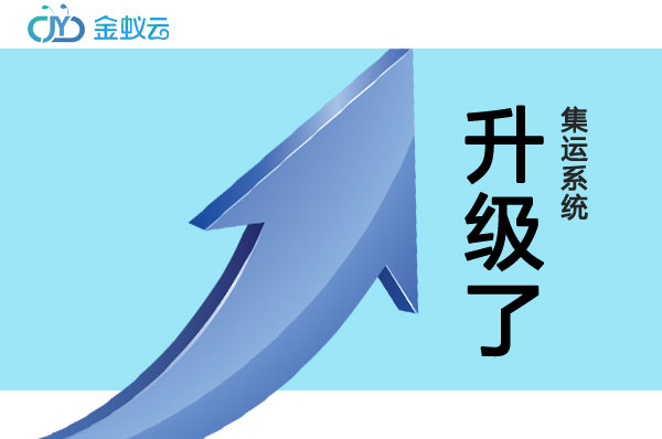 集运系统升级了-金蚁云