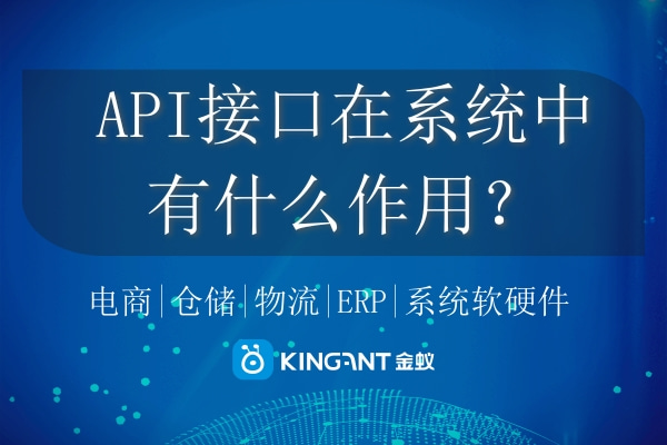 API接口在系统中有什么作用？